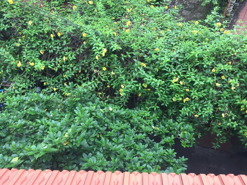 An Home Hanoi Exterior photo
